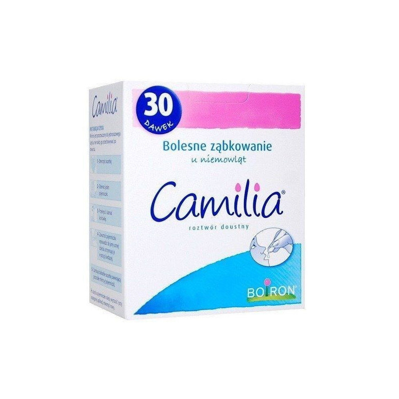 Camilia 6 sasztuk po 5 pojemników, 30 sztuk