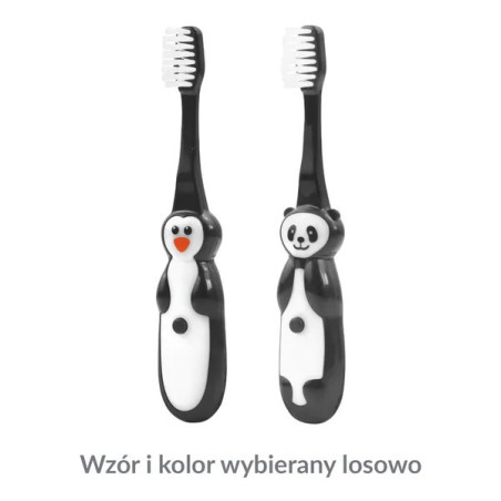 Dr Scott Pingwin/Panda, szczoteczka do zębów dla dzieci z minutnikiem, 1 sztuka